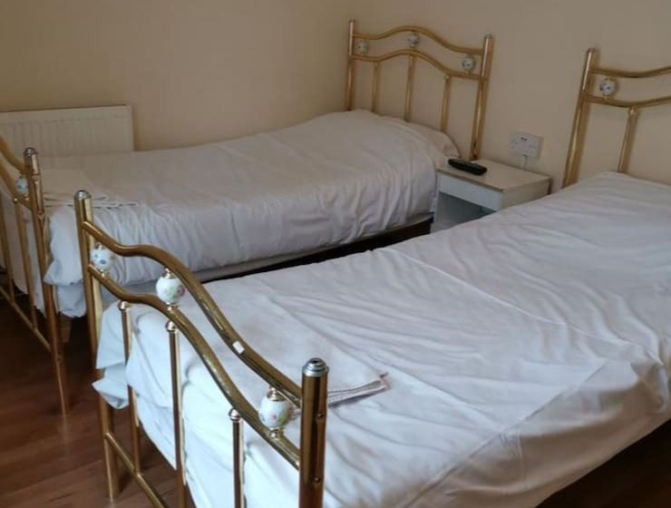 فندق OYO Swan Inn