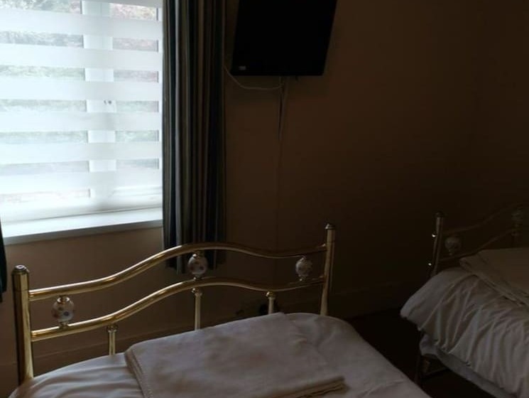 فندق OYO Swan Inn