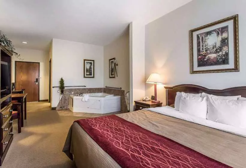 Отель Quality Inn & Suites