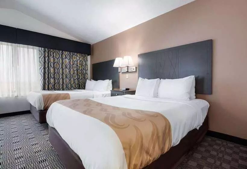 酒店 Quality Inn & Suites