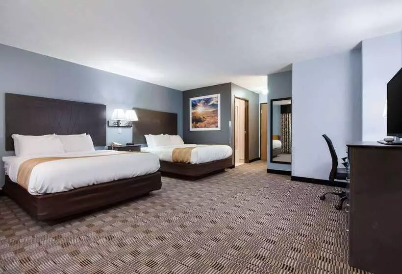 酒店 Quality Inn & Suites