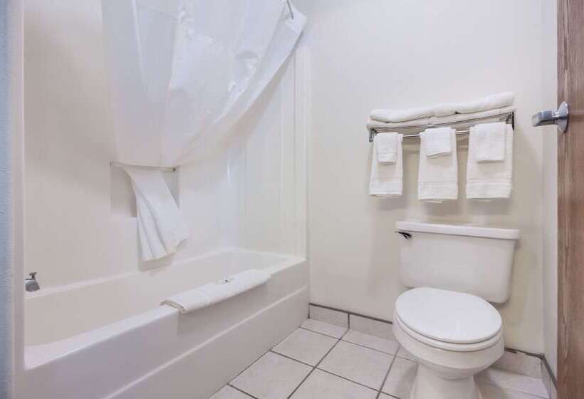 호텔 Quality Inn & Suites