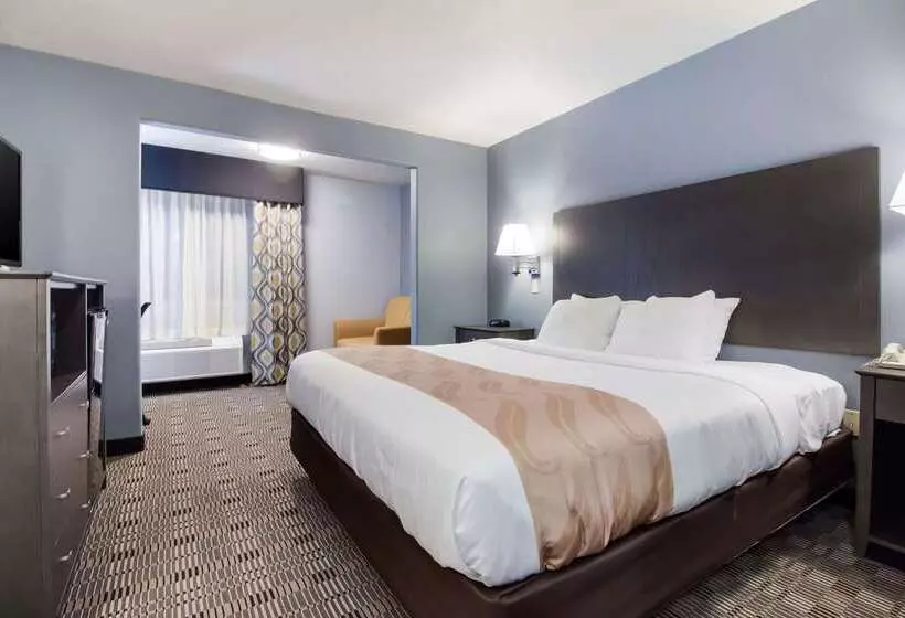 酒店 Quality Inn & Suites