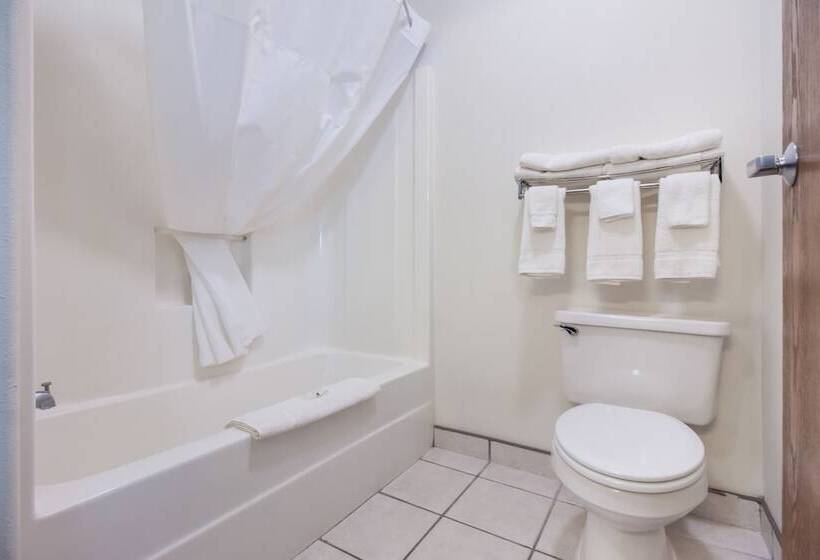 호텔 Quality Inn & Suites