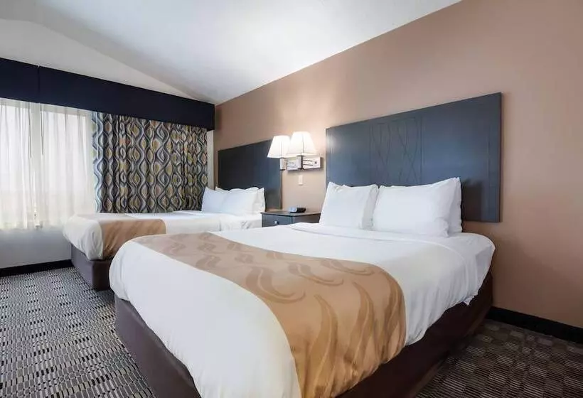 酒店 Quality Inn & Suites