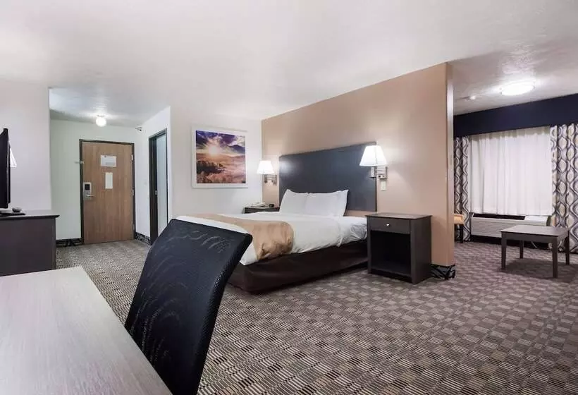 酒店 Quality Inn & Suites