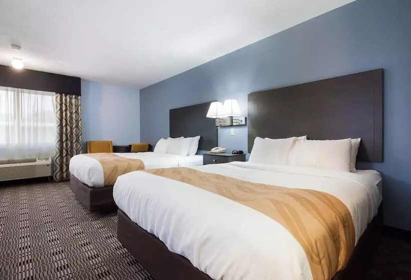 酒店 Quality Inn & Suites