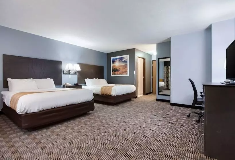 酒店 Quality Inn & Suites