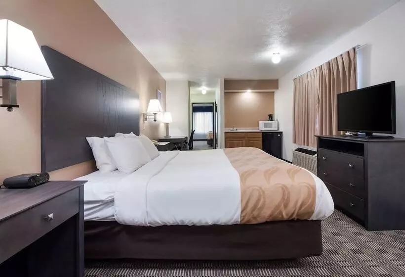 酒店 Quality Inn & Suites