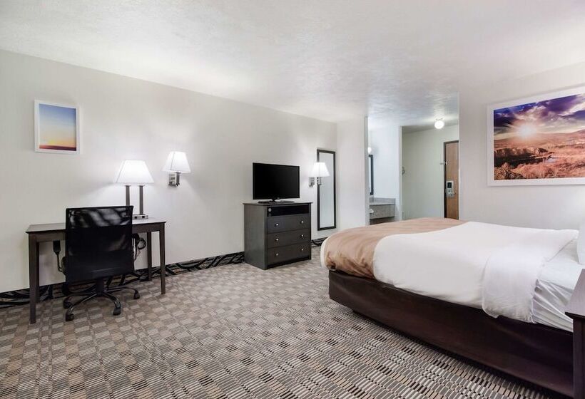 호텔 Quality Inn & Suites