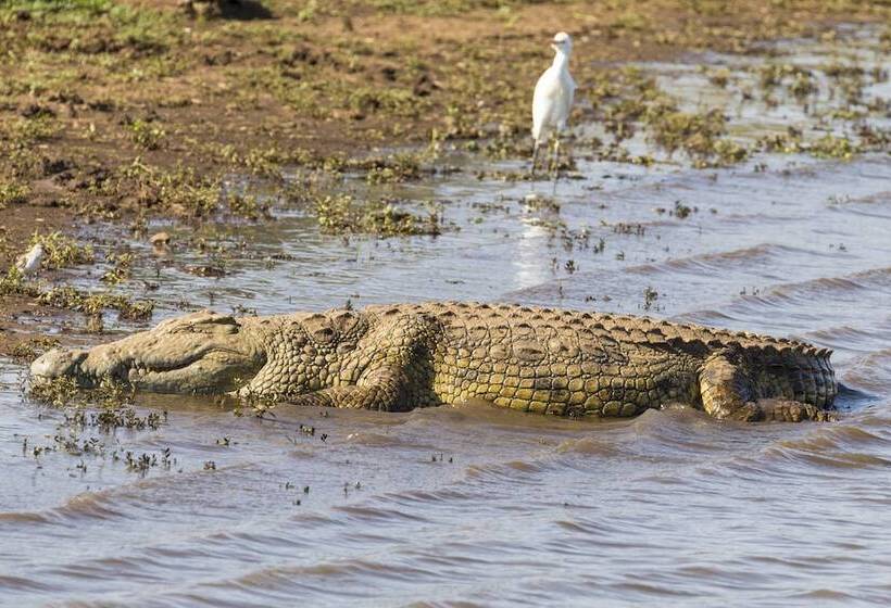 Отель Sefapane Lodge And Safaris