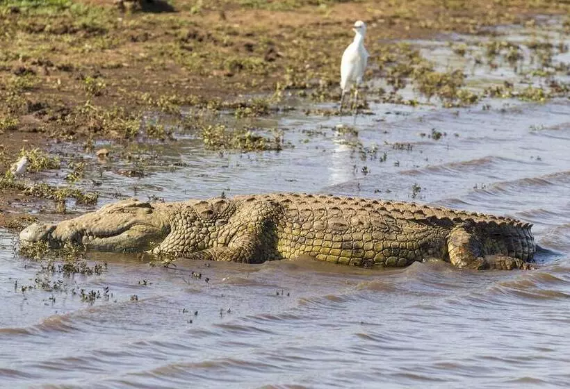 فندق Sefapane Lodge And Safaris