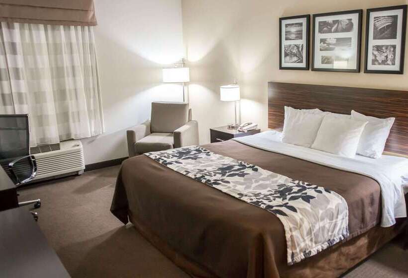 فندق Sleep Inn & Suites Indoor Waterpark