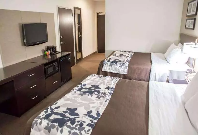 酒店 Sleep Inn & Suites Indoor Waterpark