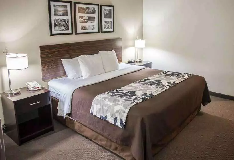 酒店 Sleep Inn & Suites Indoor Waterpark