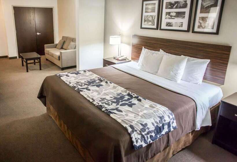 فندق Sleep Inn & Suites Indoor Waterpark