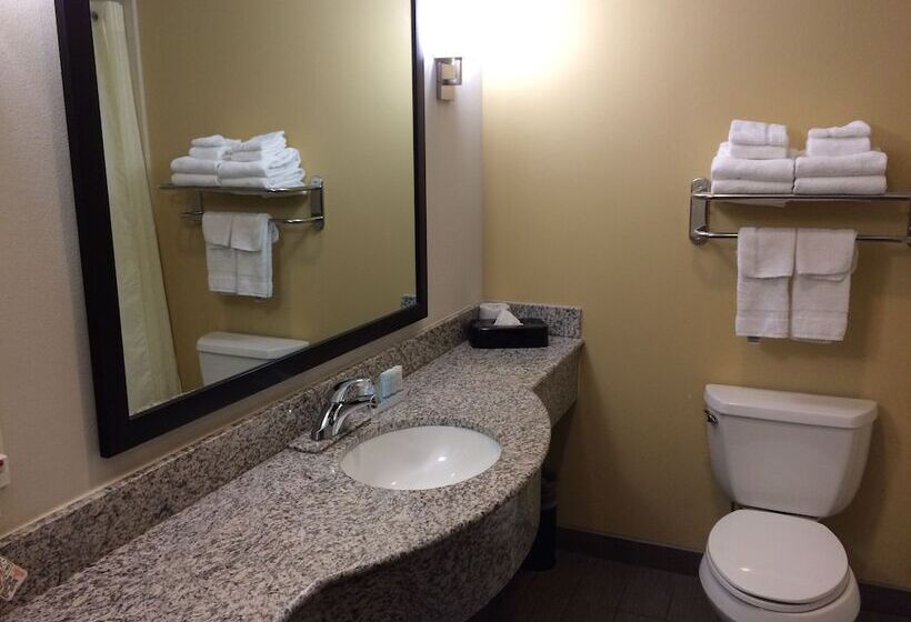 فندق Sleep Inn & Suites Indoor Waterpark