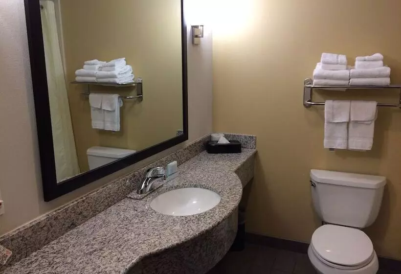 酒店 Sleep Inn & Suites Indoor Waterpark