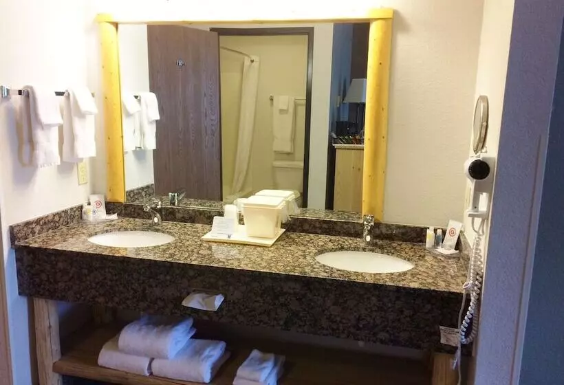 ホテル The Antler Lodge  Gardiner