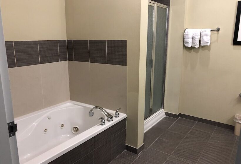 בית מלון כפרי Wingate By Wyndham Lake Charles Casino Area