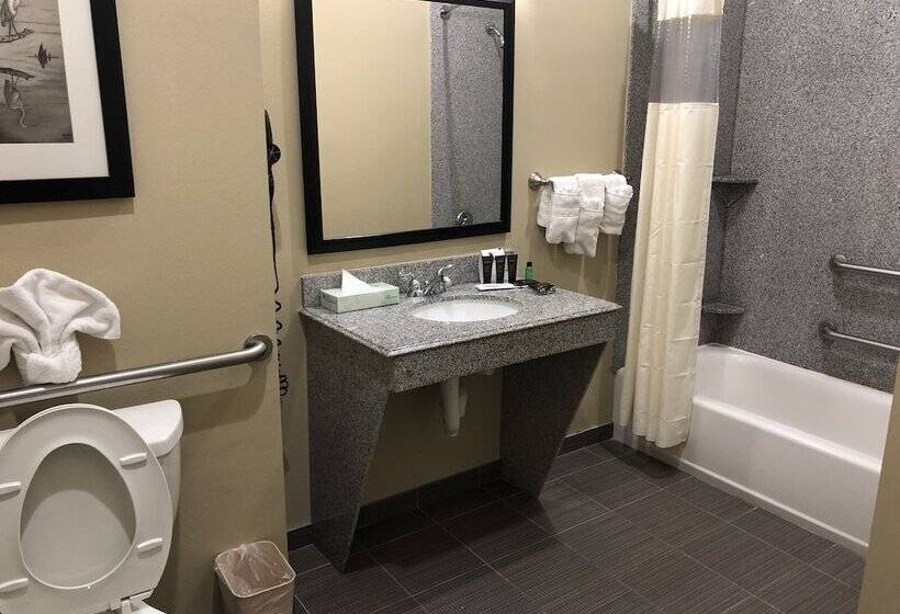 בית מלון כפרי Wingate By Wyndham Lake Charles Casino Area