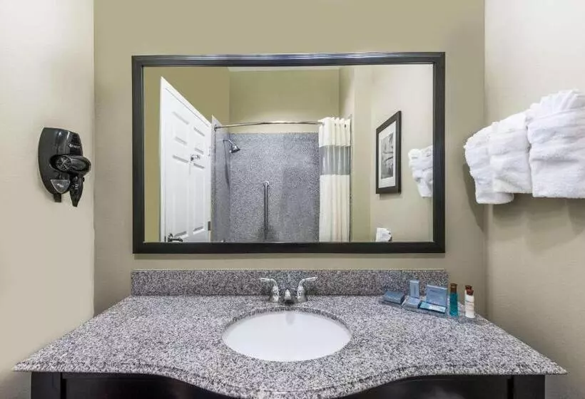 Hotel Wingate By Wyndham Lake Charles Casino Area