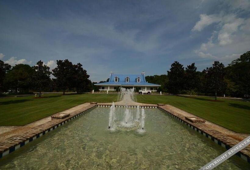 True Blue Golf Resort