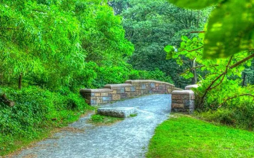 酒店 Envision Bostonlongwood, Ascend Collection