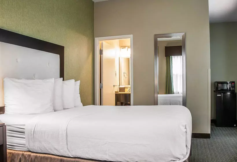 酒店 Envision Bostonlongwood, Ascend Collection