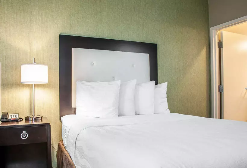 酒店 Envision Bostonlongwood, Ascend Collection