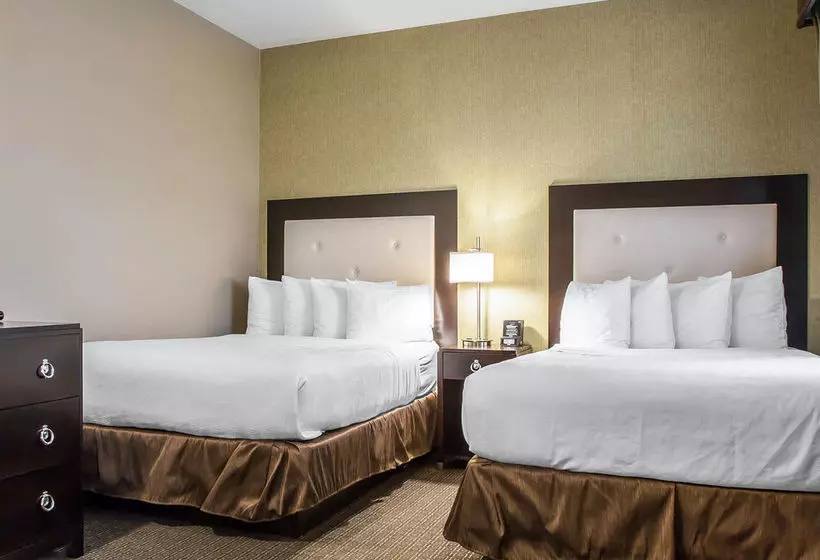 酒店 Envision Bostonlongwood, Ascend Collection