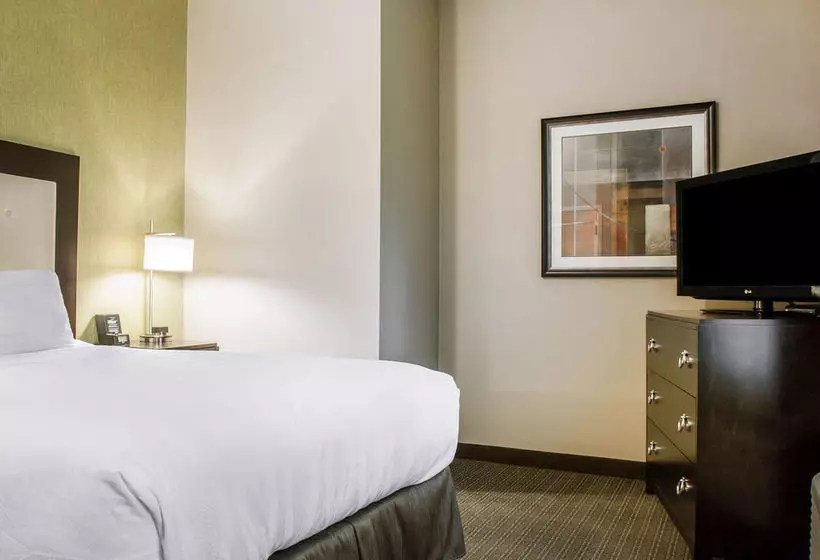 酒店 Envision Bostonlongwood, Ascend Collection