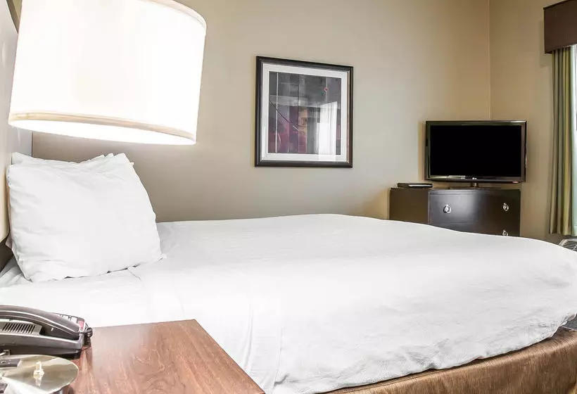 酒店 Envision Bostonlongwood, Ascend Collection