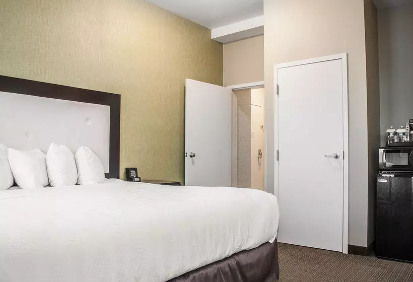 酒店 Envision Bostonlongwood, Ascend Collection