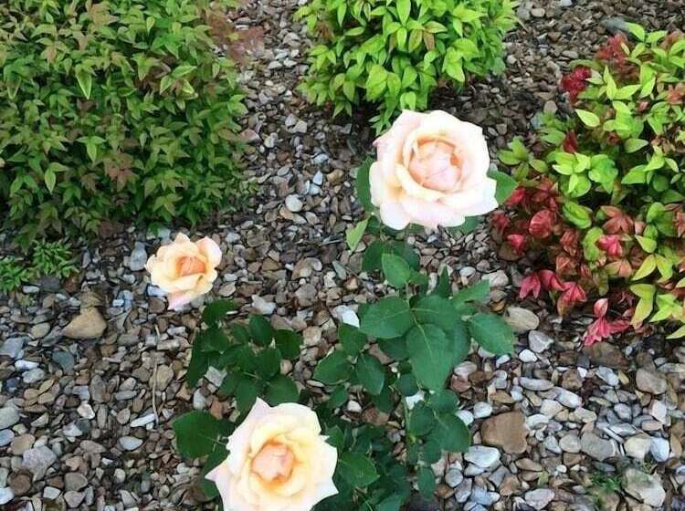 فندق Best Western Prime Inn & Suites