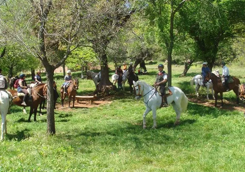Отель Casa Tinoco Casa Rural Categoria Superior