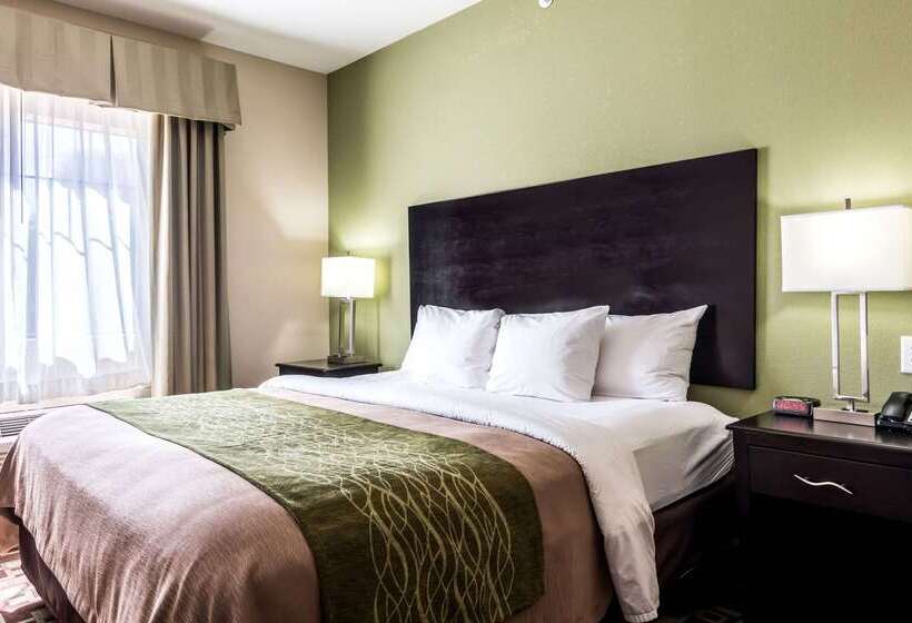 酒店 Spark By Hilton Mansfield