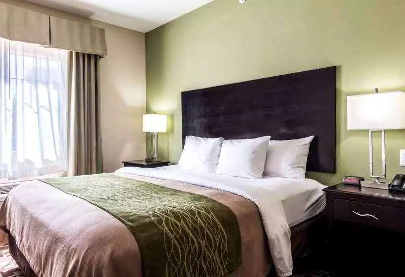 酒店 Spark By Hilton Mansfield