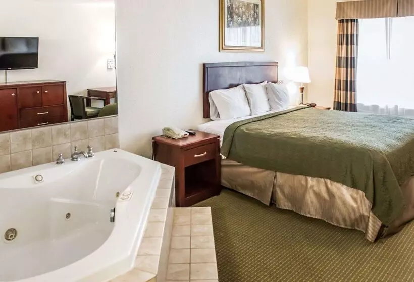 Отель Econo Lodge