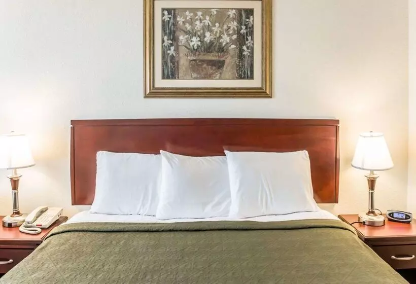 Отель Econo Lodge