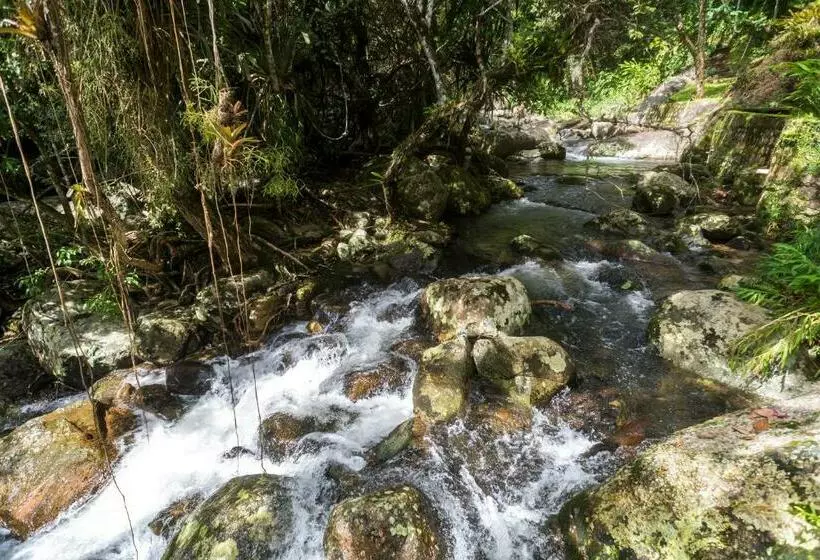 Отель Guest House Ilha Splendor