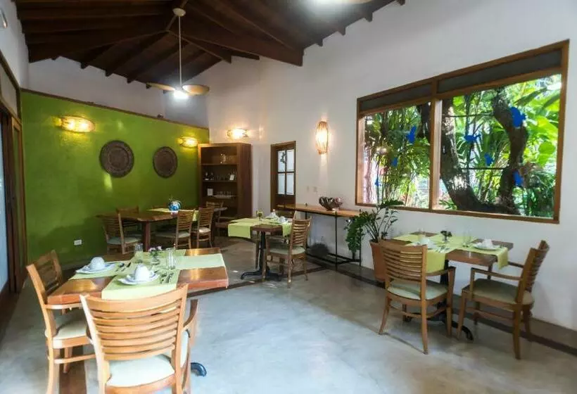 Отель Guest House Ilha Splendor