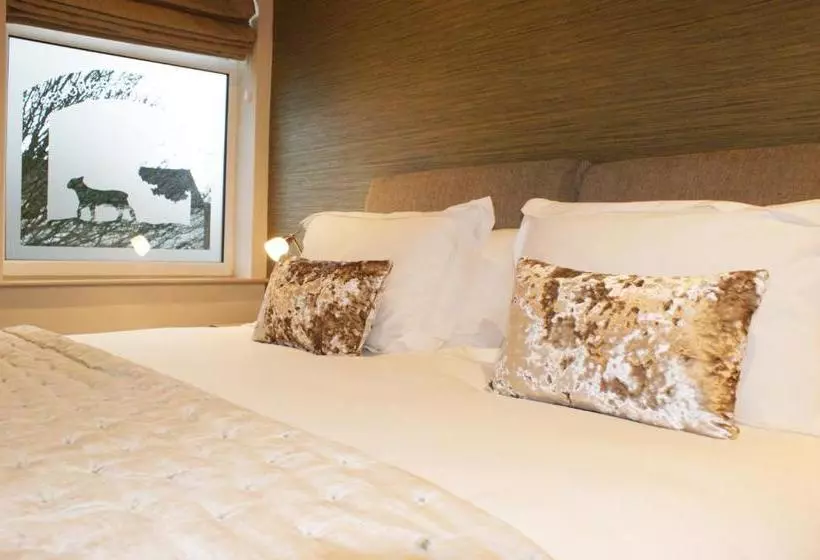 هتل Lamb Inn Guesthouse