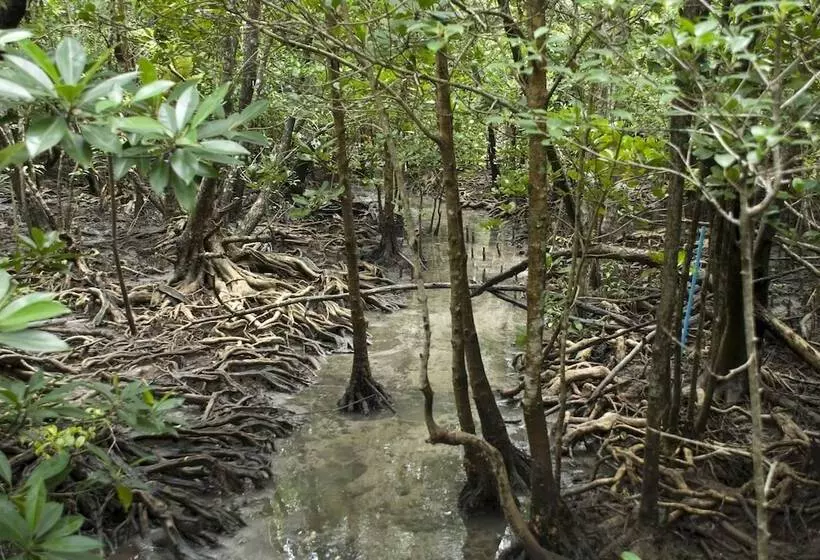 Hotel Long Beach Inn