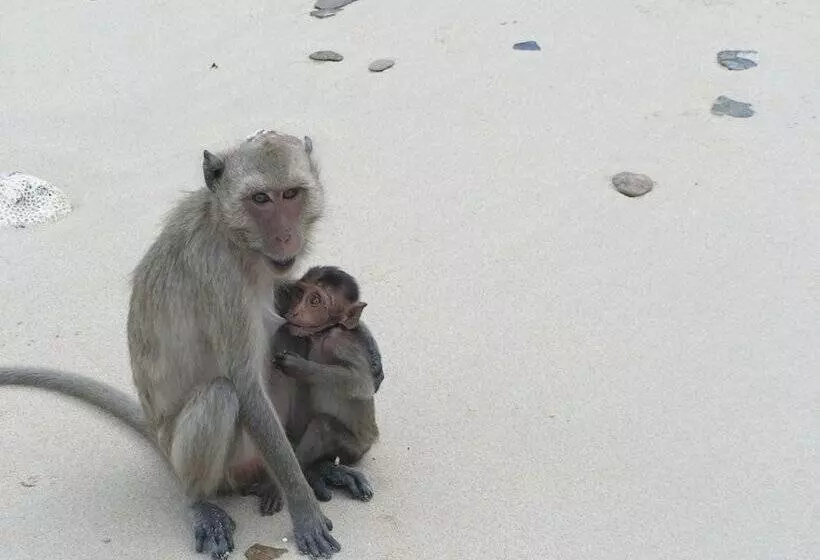 Hotel Long Beach Inn