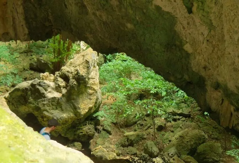 Hotel Long Beach Inn