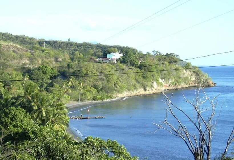 هتل Tamarind Tree