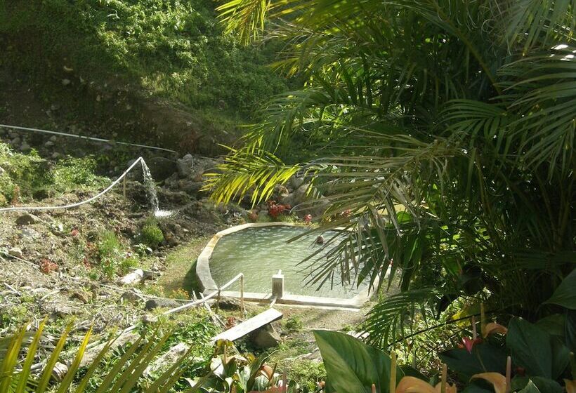 هتل Tamarind Tree