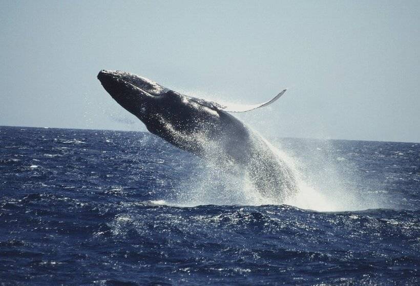 استراحتگاه Bannister By Mint