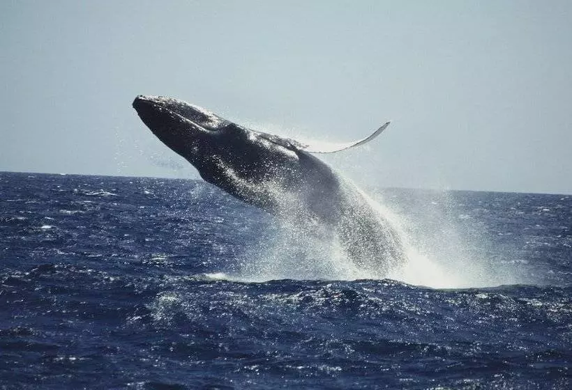 استراحتگاه Bannister By Mint